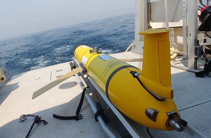 Monitoring and Predicting the marine environment from land, sea, and space