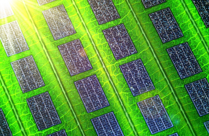 Advanced Concept Solar Cells