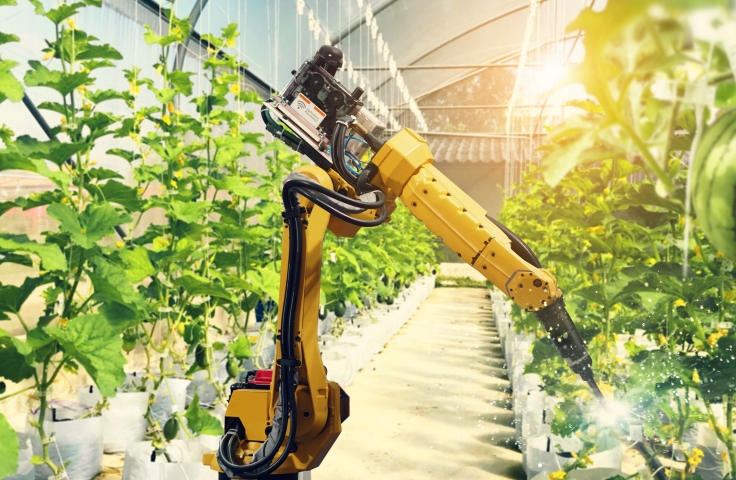 Mechanical Vibration and Dynamics of Plants for Robotic Pollination