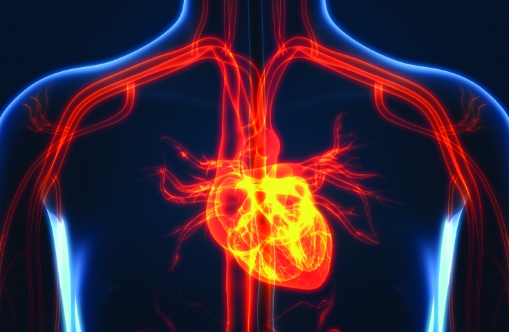 Optimising the Approach to Vascular Diagnosis and Treatment