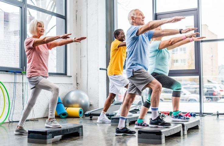 Active Lifestyle Programs for Healthy Ageing