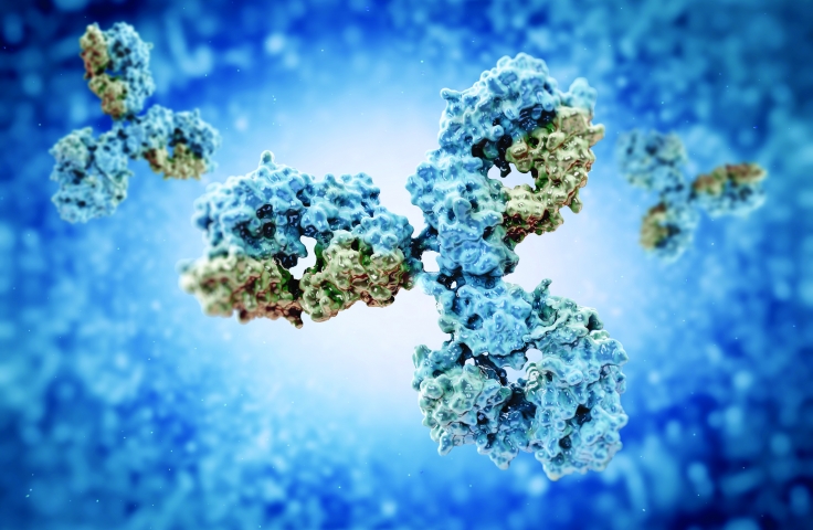 Antibody Engineering: Antibodies as Diagnostics and Therapeutics