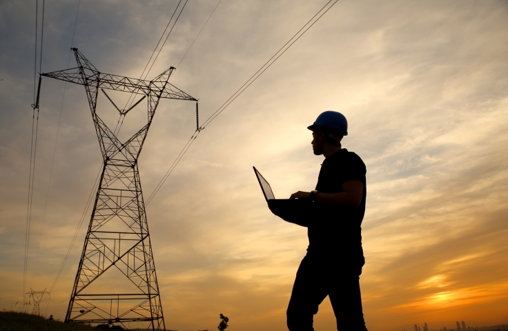 Intelligent Monitoring of Electricity Grids