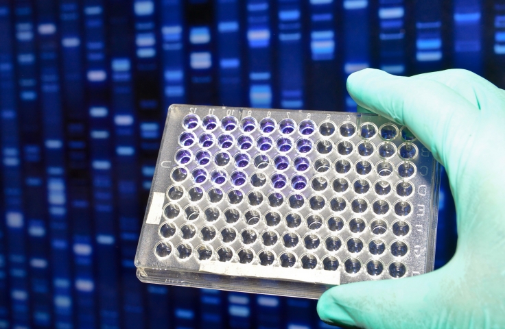 Colorimetric Sensors for In-Field Detection of Chemical and Biological Compounds