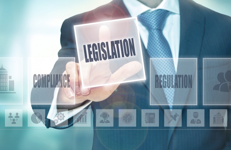 Regulatory Strategy and Governance