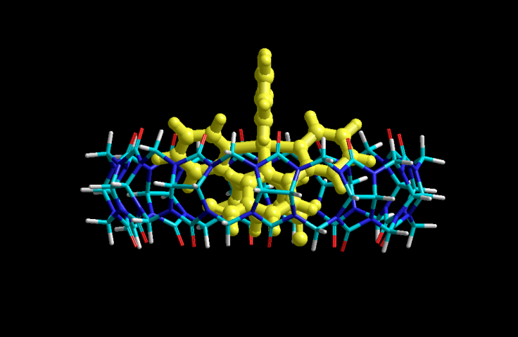 Supramolecular host–guest systems